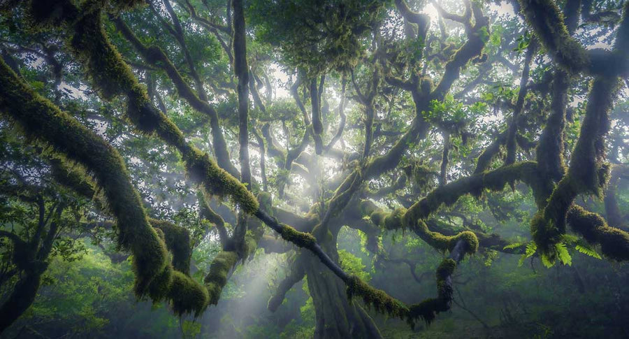 7 Best Wide Angels for Landscape Photography