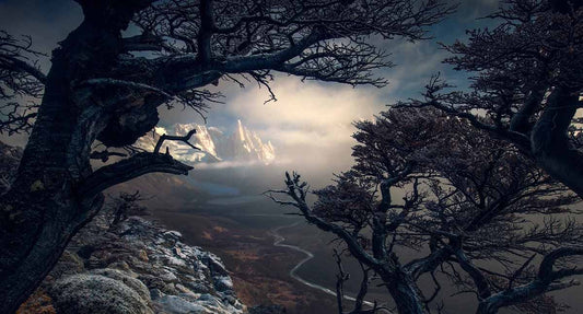 Framing the Scene: Composition Techniques in Landscape Photography