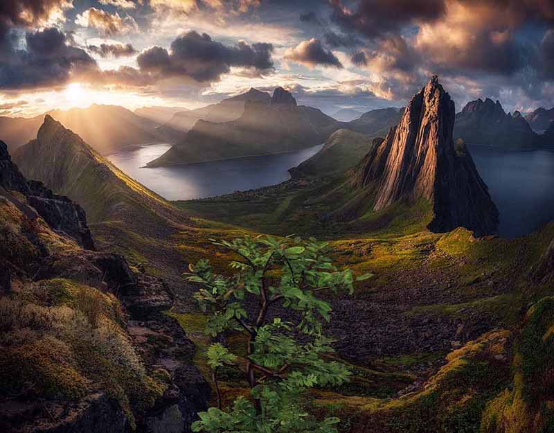 Senja
