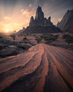 Sunrise saudi