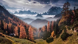 A dramatic mountain landscape in the Dolomites with autumn-colored pine trees in orange, yellow, and green, misty valleys, and layers of peaks under a cloudy sky.