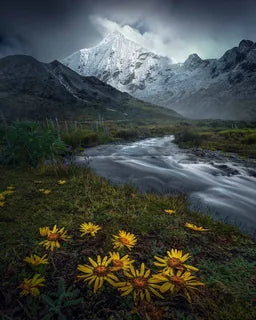 A dramatic landscape scene of a snow-covered mountain under a dark stormy sky, with a flowing river in the foreground, a waterfall on the left sloping hillside and bright yellow wildflowers in the grass.