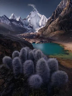 Yerupajá in Peru with a turquoise alpine lake, jagged snow-covered peaks, dark rocky slopes, and a cluster of pale fuzzy cacti in the foreground, in the midground is an ultra blue glacier lake.