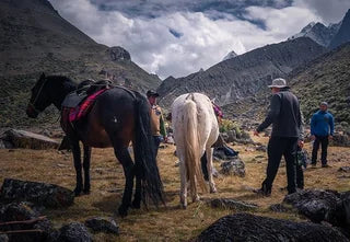 Peru — photograph from the tour itinerary