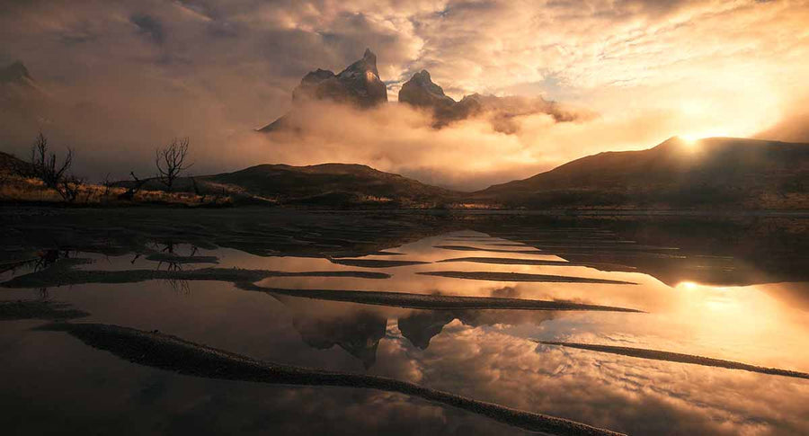 Beginner Landscape Mistakes to Avoid