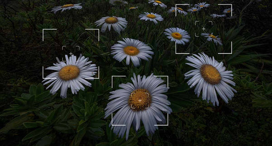 Focus Stacking in Landscape Photography