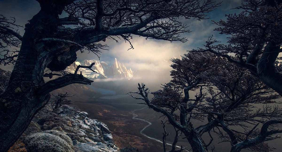 Framing the Scene: Composition Techniques in Landscape Photography