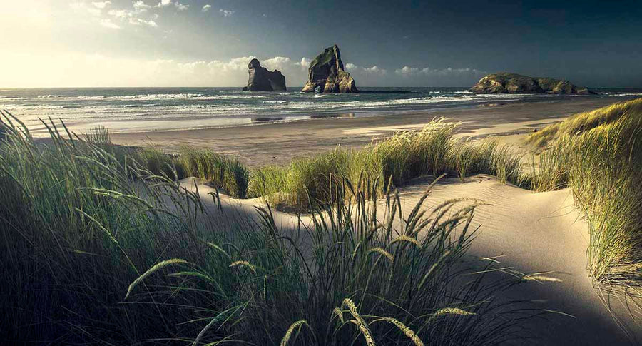 Max Rive's Top 7 Tips for Beginner Landscape Photographers
