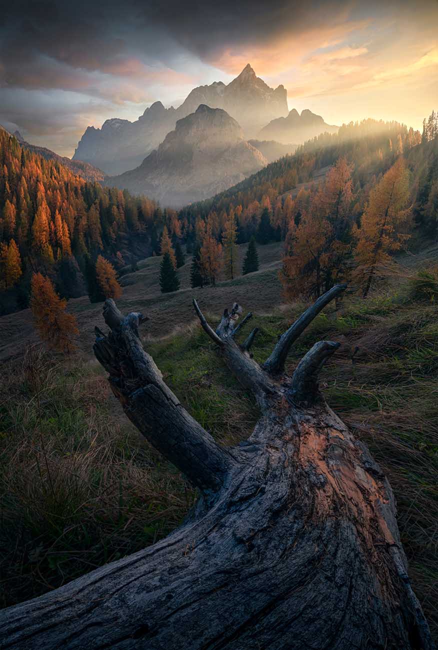 A dramatic mountain landscape in the Dolomites at sunset with jagged peaks in the distance, golden autumn trees on the slopes, and a large weathered log in the foreground leading the eye to the mountains beyond.