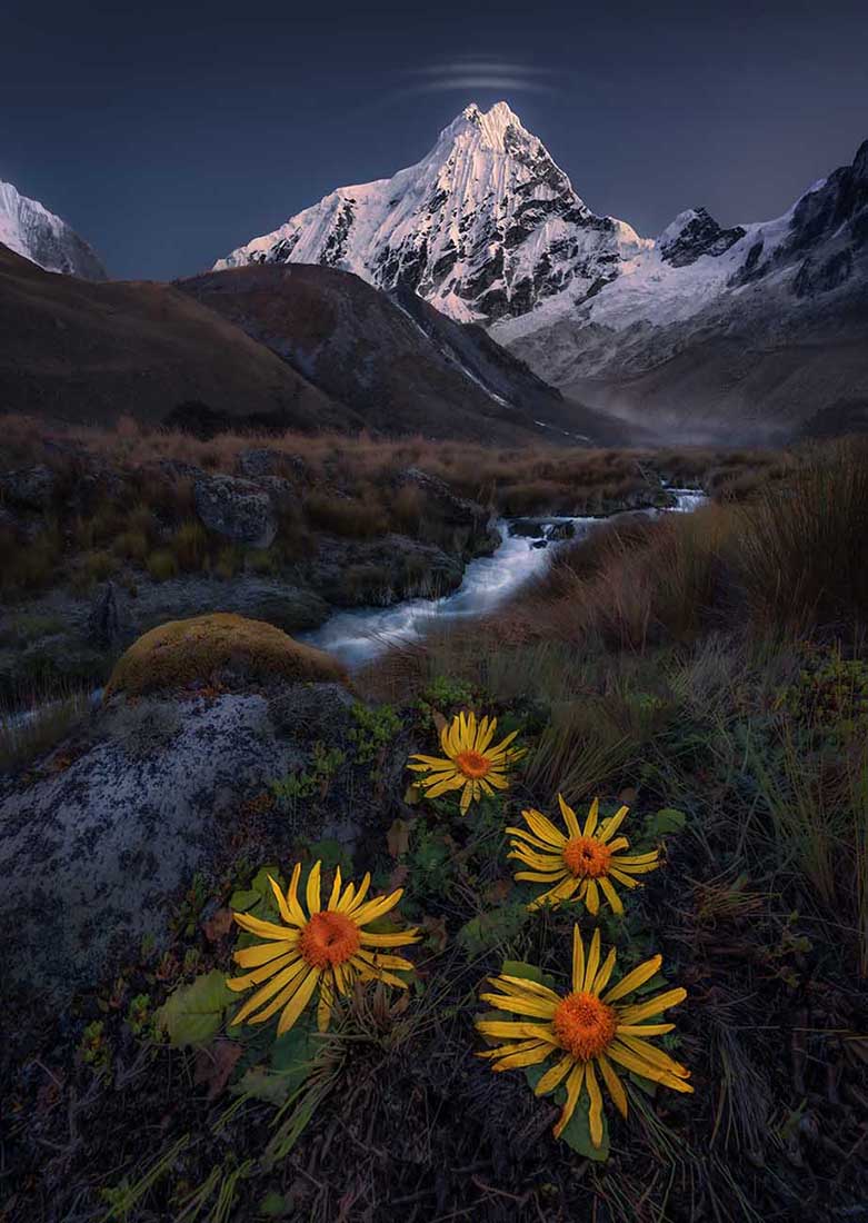 Chopicalqui mountain with lenticular clouds above it. a stream runs through the valley toward the mountain. Meeting a waterfall to the left. In the foreground giant yellow flowers grow by the stream.