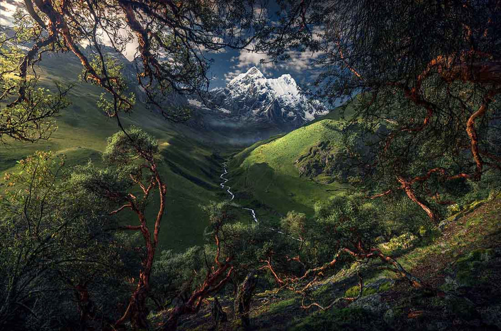 trees with flakey red bark frame a winding river leading towards snow capped mountain range of huayhuash in Peru.