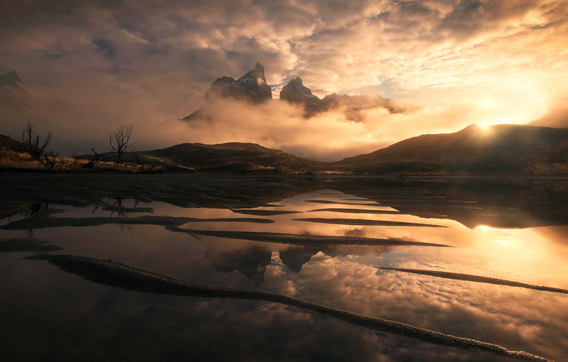 Beginner Landscape Mistakes to Avoid