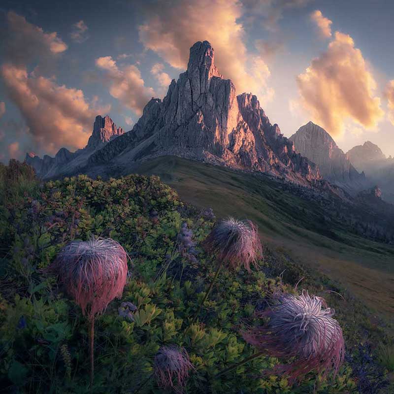 Dolomites Summer