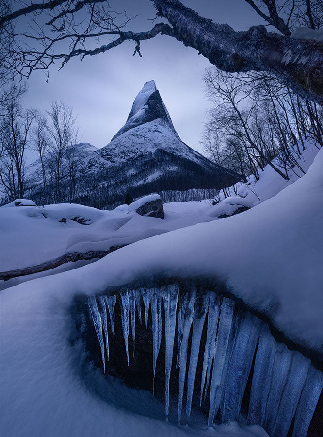 A cave of icicles in Norway beneath stetinden during winter. A tree frames the sharp peak reaching from the foreground over the mountain. The hills and rocks are covered ina fresh blanket of snow.