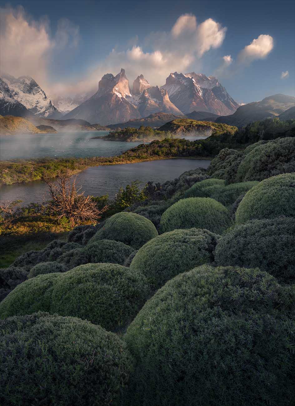 The snow-capped mountains of Cordillera del Paine above lago Pehoe, with mist, low clouds, and rounded green shrubs in the foreground.