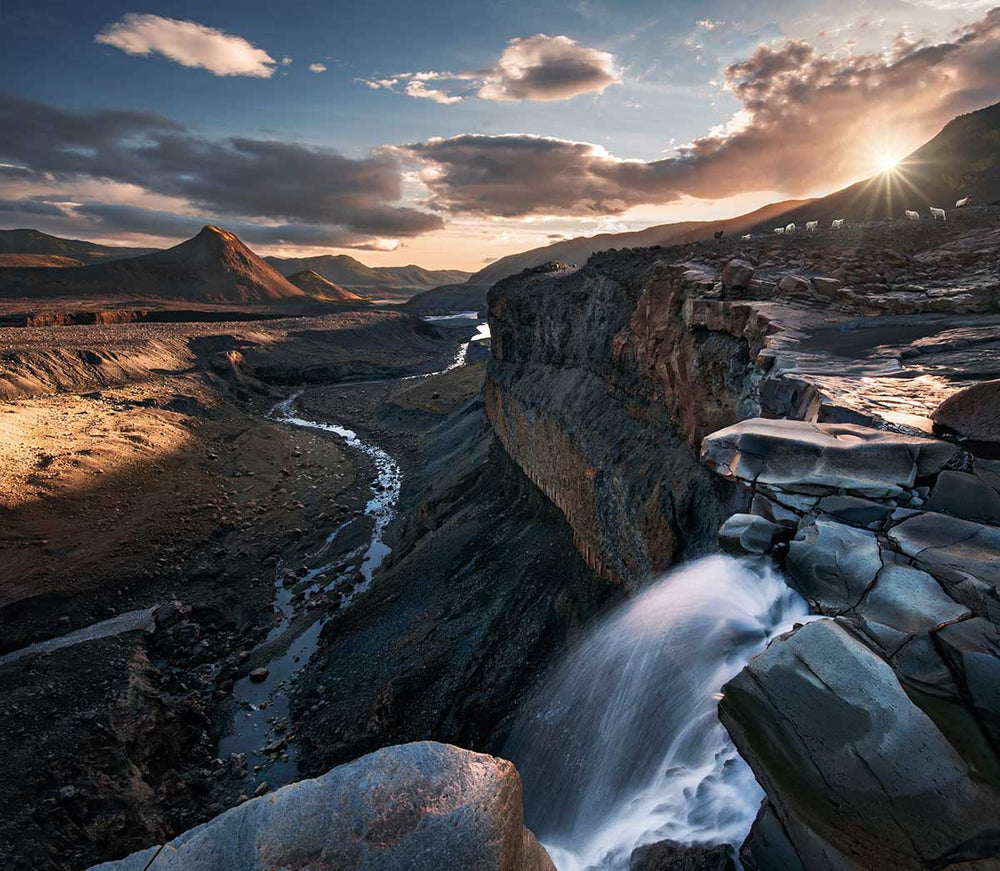Laugavegur in Iceland. A waterfall in the foreground runs into the valley. A stream in the valley leads to a mountain to the left. The mountain catches the sunrise light glowing golden. A small herd of sheep stand above the waterfall and beneath the sunstar.