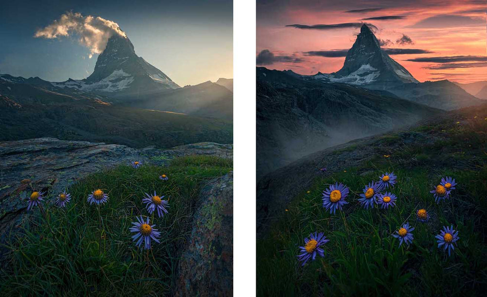 Matterhorn purple Flowers in summer Switzerland, pink skies at sunset and misty green valleys.