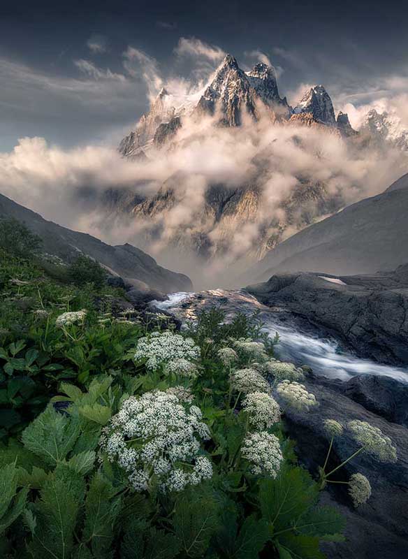 Mont Pelvoux in the French alps taken by max rive. white fluffy flowers grow by the stream side and mirror the white fluffy clouds which circle the large mountain beyond. The sunset light turns the clouds a faint pink.