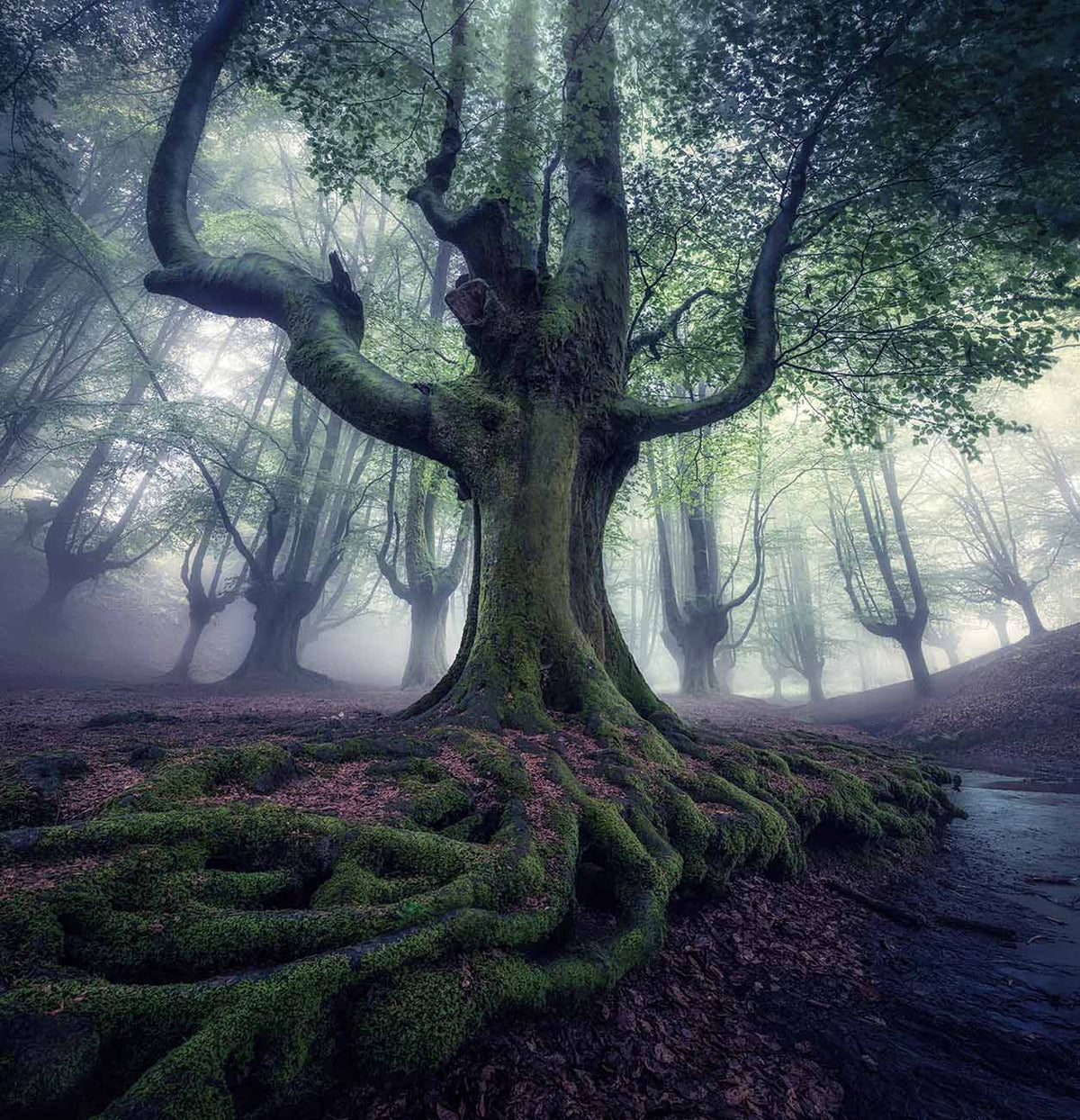 Spain