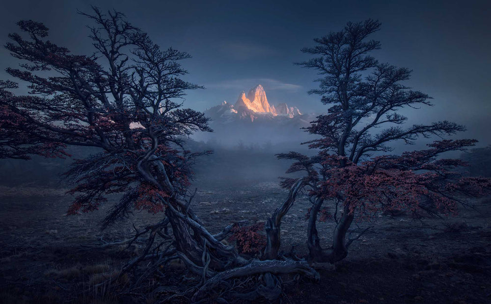 Ultimate Photography Guide: Patagonia 2026