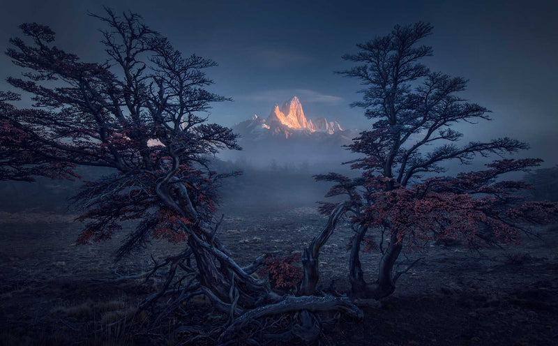 How to Select the Best Photos for Editing: A Step-by-Step Guide