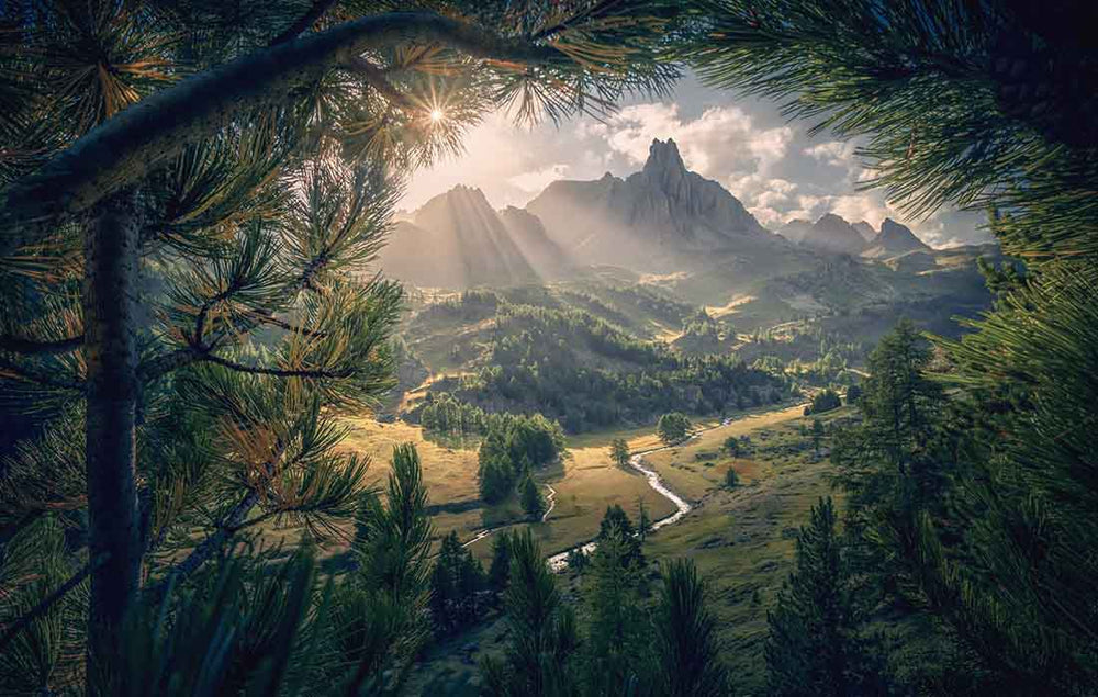 Pine trees frame a mountain and sunstar with winding river below in French Alps.