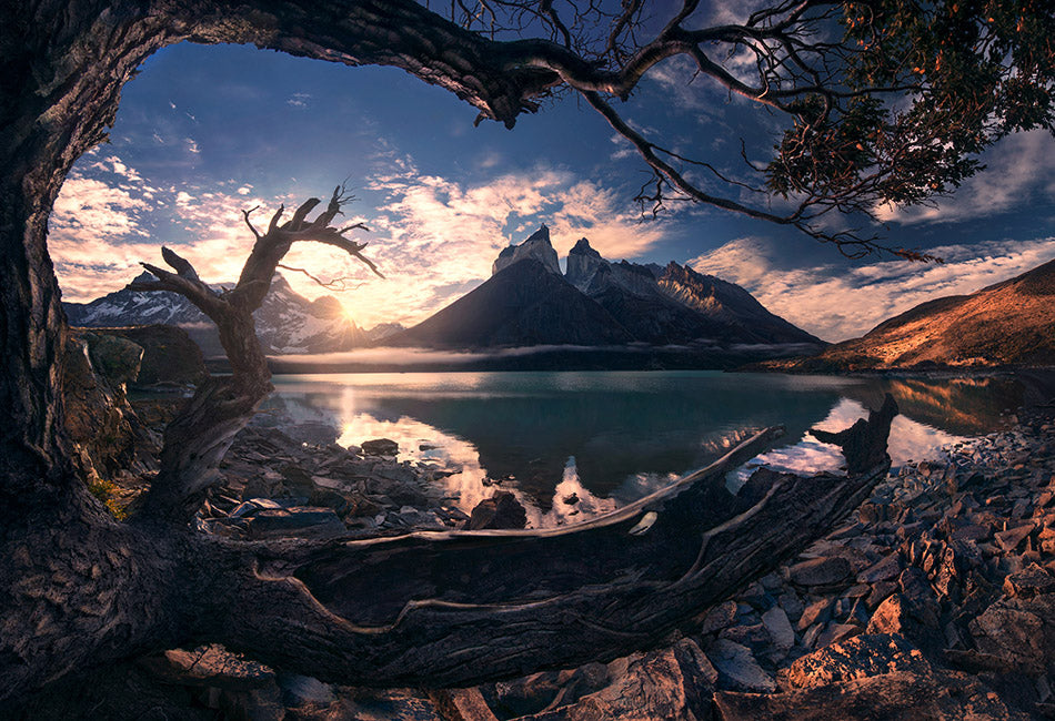 PATAGONIA AUTUMN