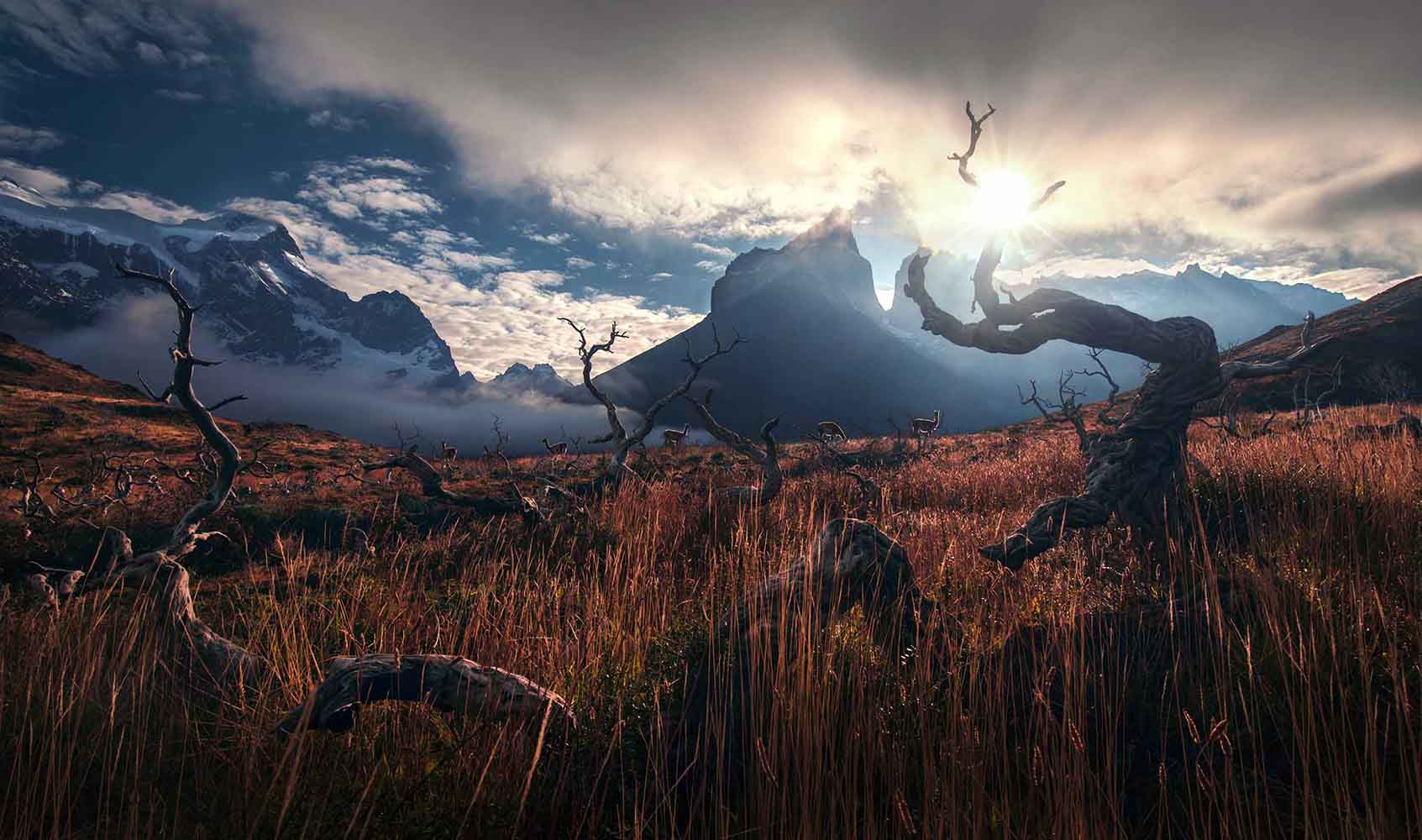 Max Rive Photographs Close menu