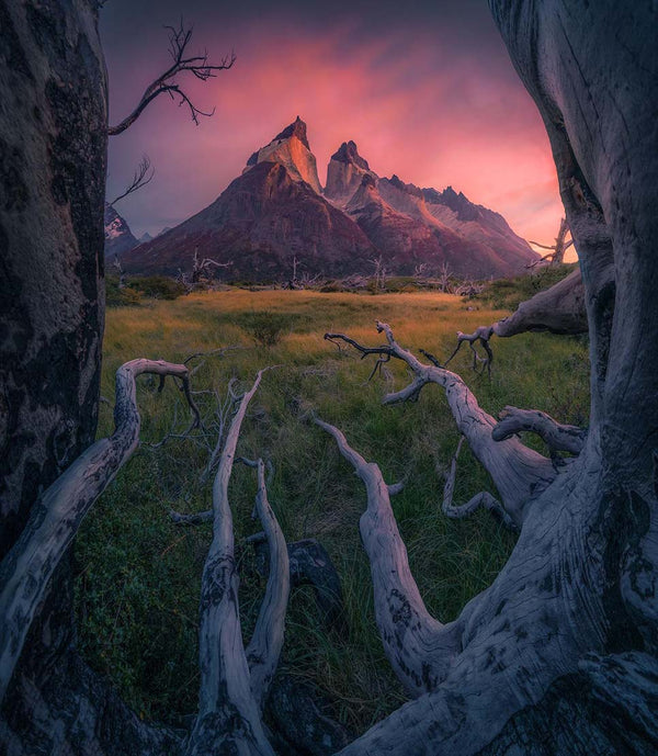 Photography Guide Patagonia