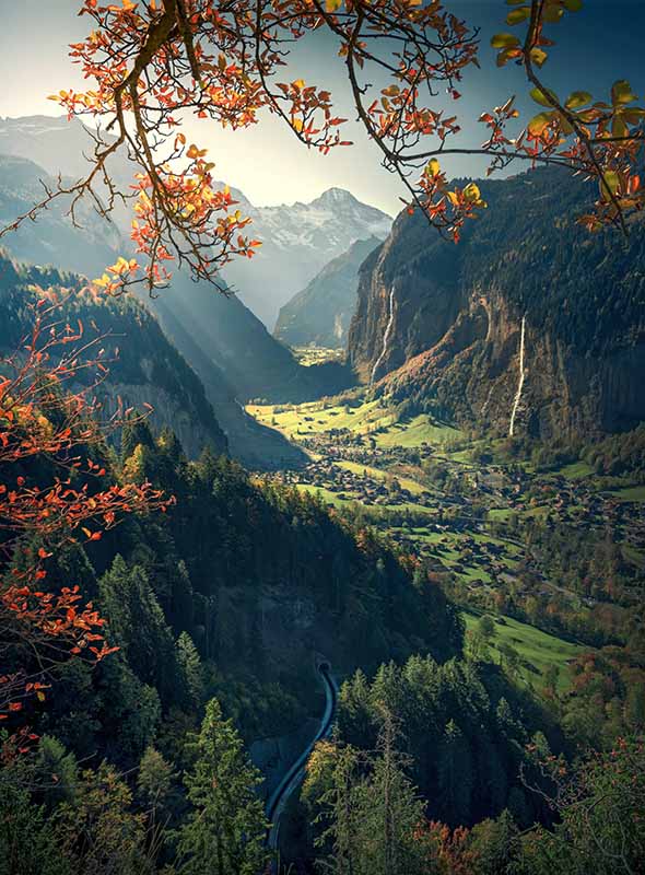 an autumn coloured tree frames a train track leading into a mountain pass. In the distance are three waterfalls and lauterbrunnen village.