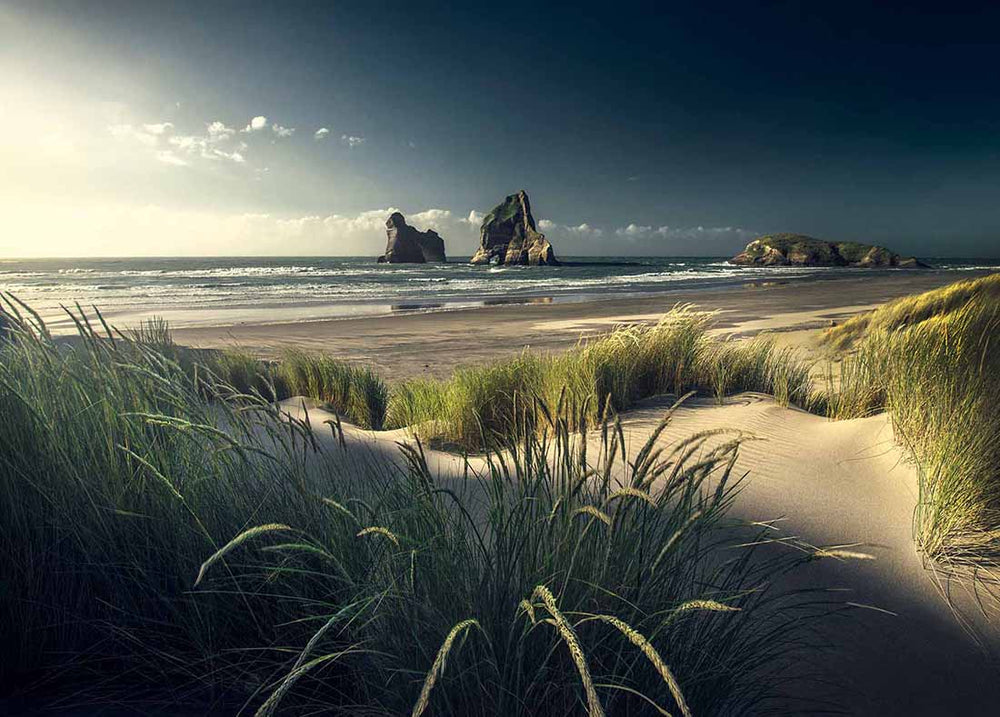 Wharariki Beach in New Zealand at sunset, long grasses in sand dunes with two rocks in the ocean with the tide out. 