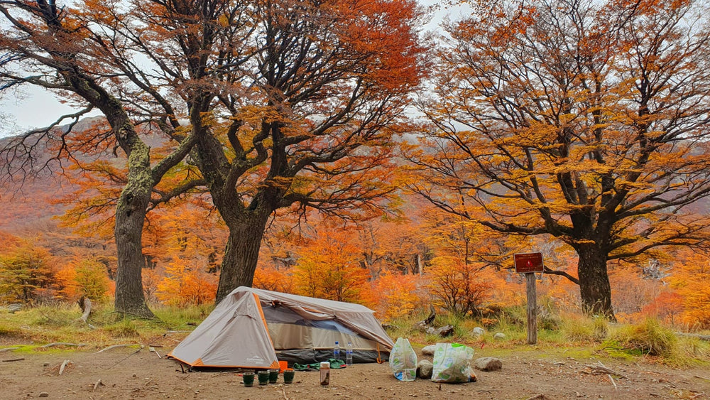 Max Rive camping at Poincenot campground in autumn. His tent is on the trail and food bags are outside the tent. Behind the tent is a forest of flaming orange coloured autumn trees in Los Glaciers National Park.
