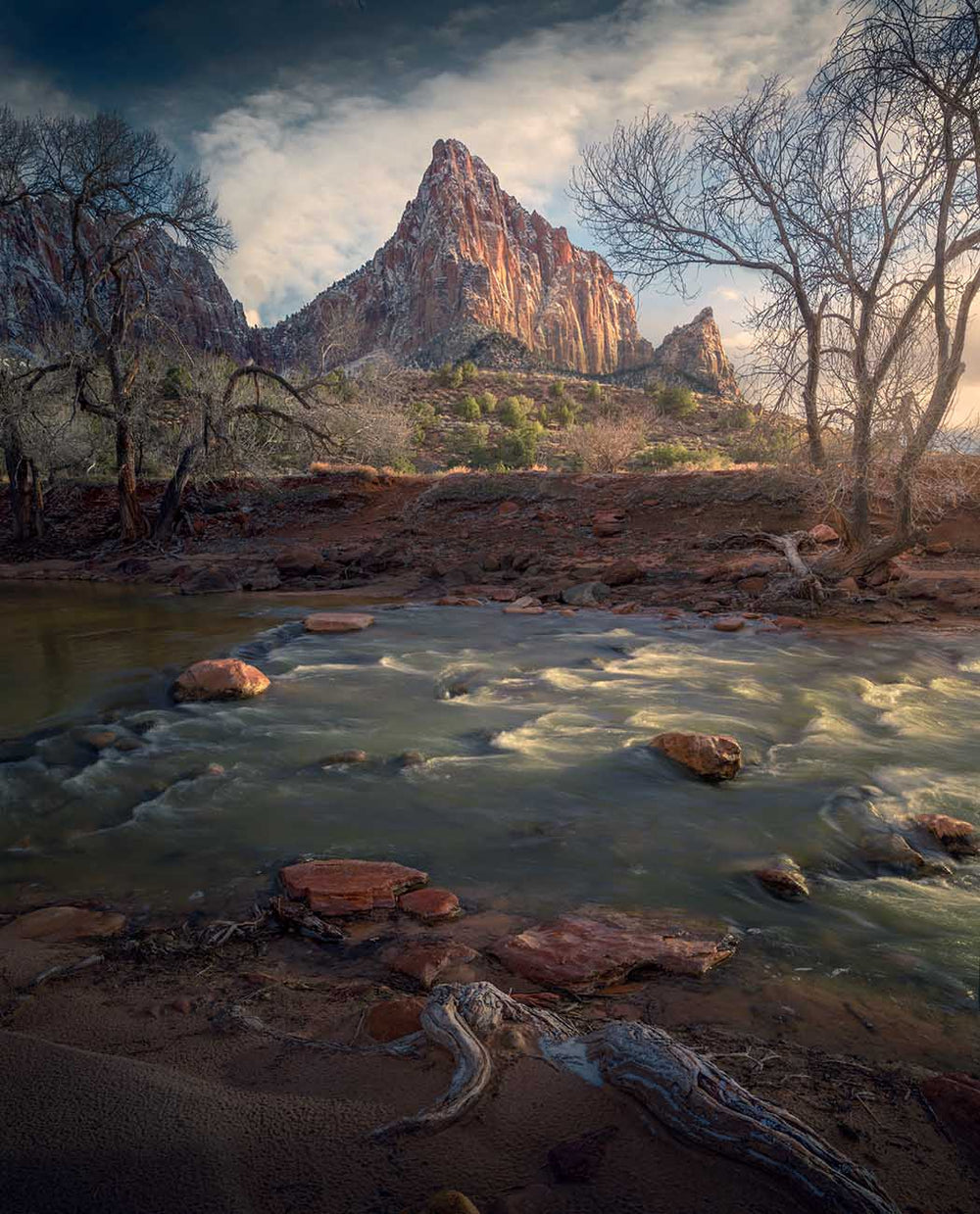 Sunset in Zion during Autumn, the colours of red sand frame the river. The mountains are bathed in the golden glow of light.
