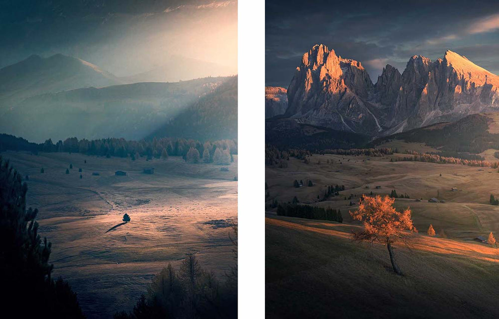alpe-di-siusi-sunrise-lone-tree_02a5b543-c0ce-4a16-9f8a-25bcaac62460