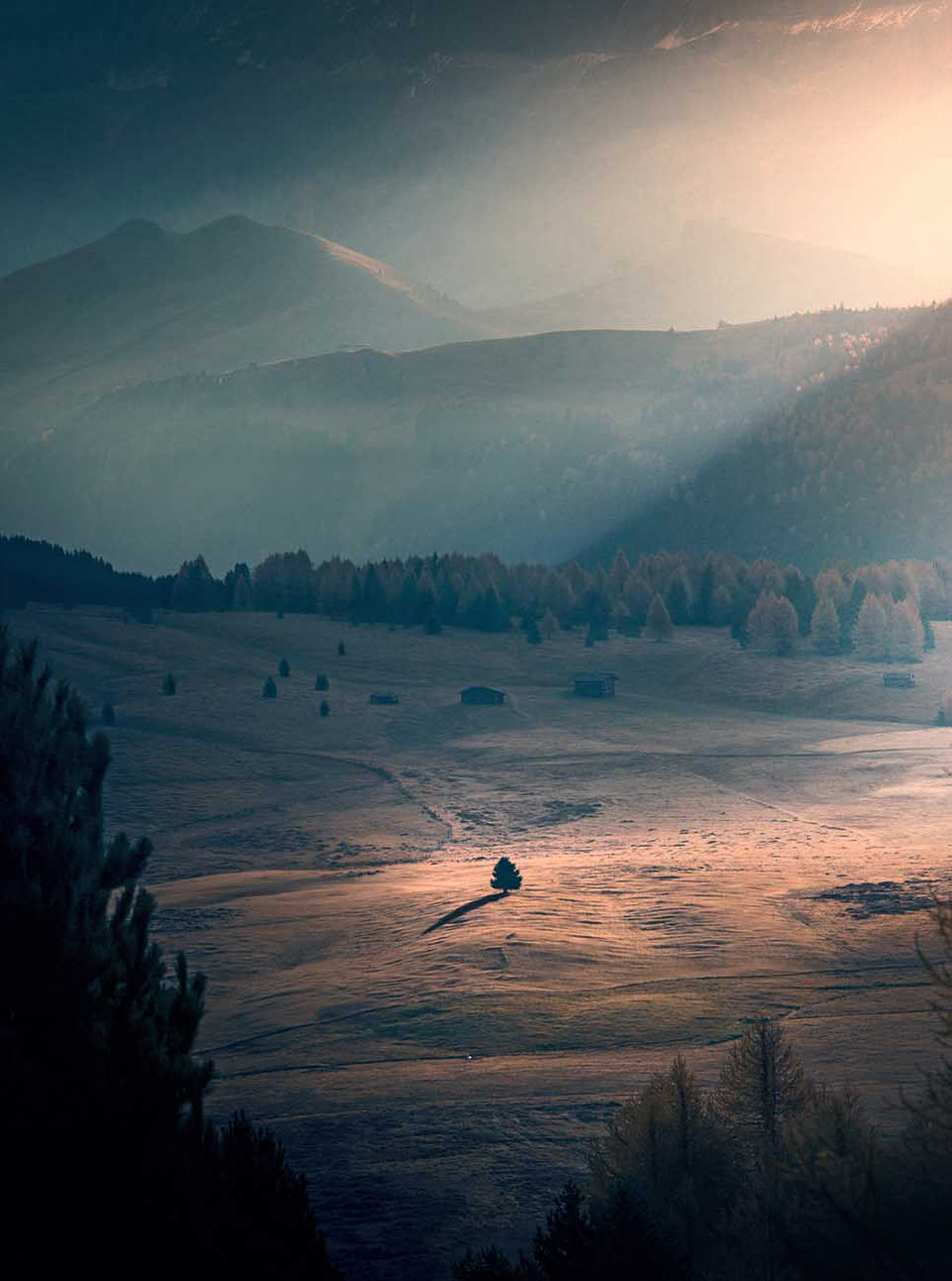 A misty mountain valley landscape at sunrise in autumn, with soft light rays breaking through haze over distant peaks and a sunlit field in the foreground. Dark trees frame the lower left and right edges, and a few small golden larches are visible in the outer valley, one tree stands alone in the middle of a sunray in the centre of an empty field.