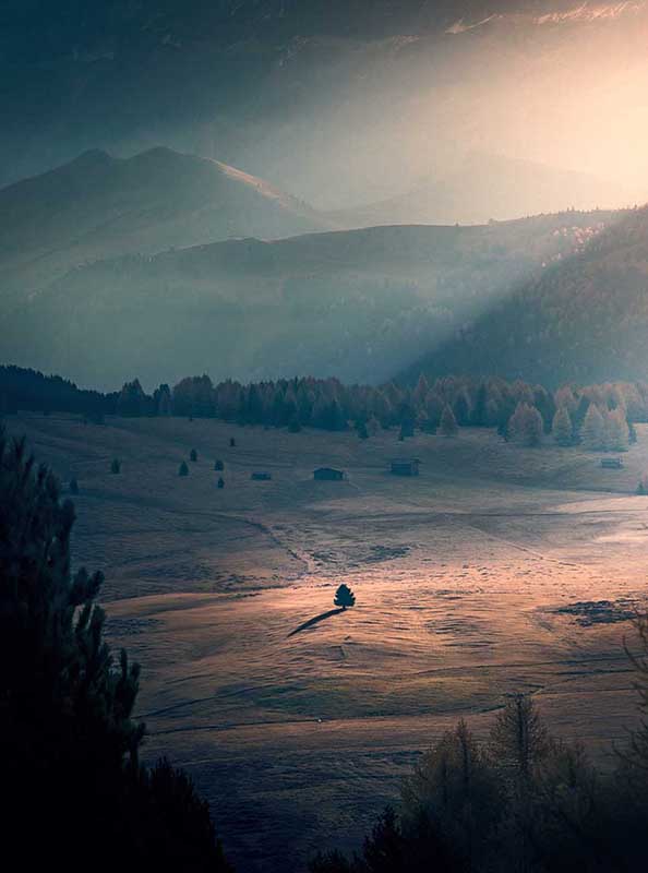 alpe di siusi in the dolomites. a lone tree and its shadow at sunrise, light beams stream into the valley beyond and autumn colour trees cover the hillside.