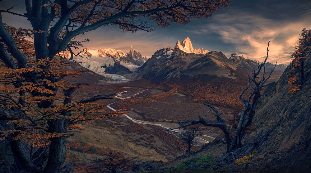 A bend in the Río Fitz Roy leads through an autumn valley towards Cerro Torre, framed by trees.