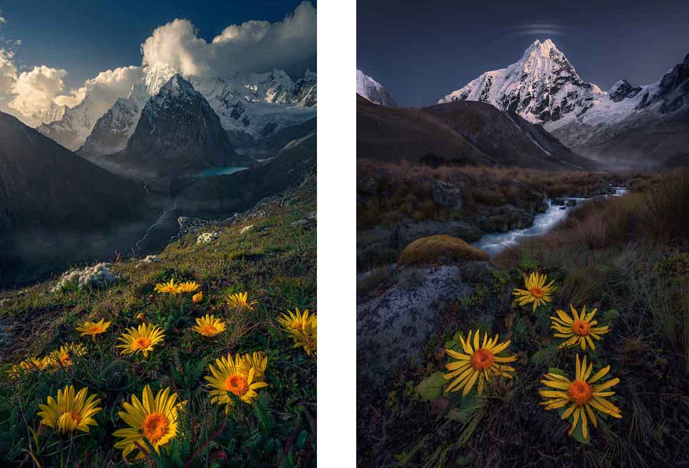 The giant snow covered mountains of peru in summer. Rivers and glacier lakes can be seen beneath the mountains and yellow flowers high in the mountains and by the rivers.