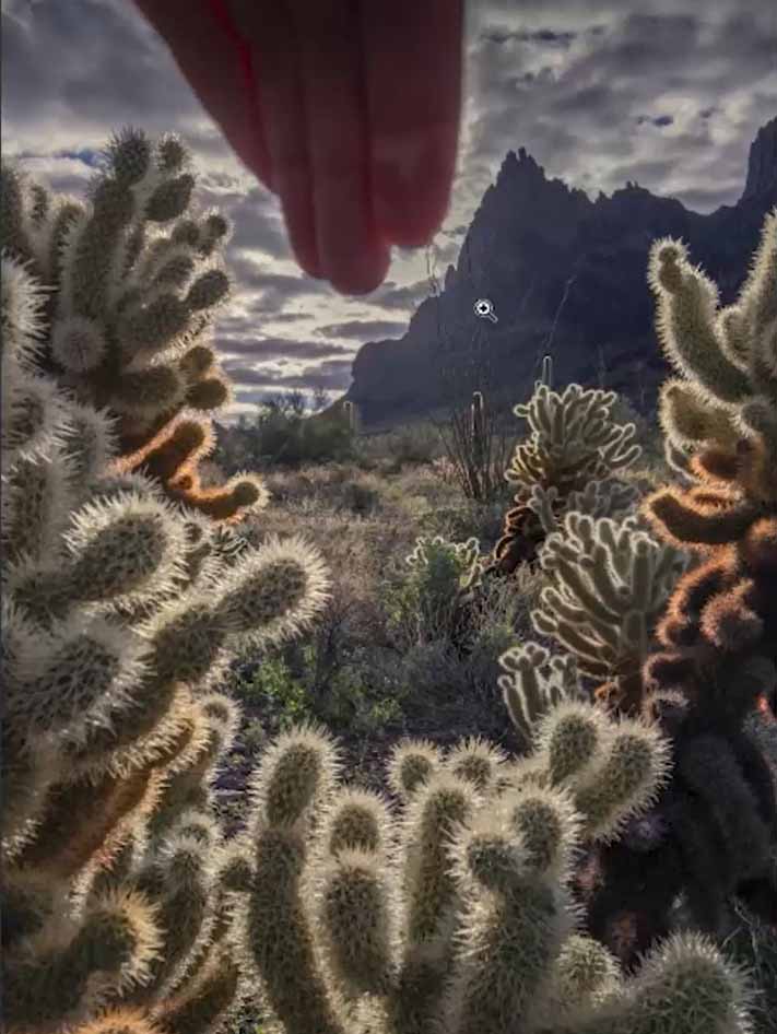 a hand blocking the sun in kofa desert. the cacti framing the mountain are illuminated with sunlight from the sun but no lens flare.