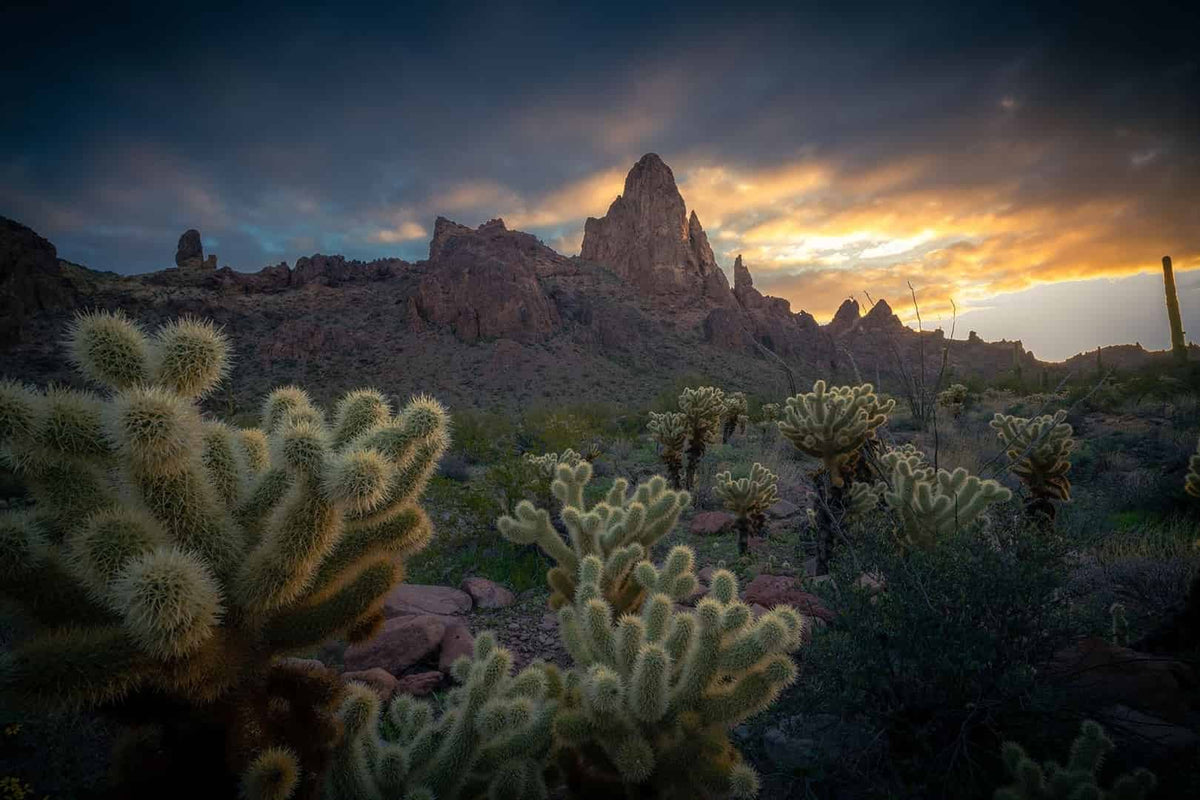 Kofa wildlife reserve with cacti on foreground and vertical mountain - summer and spring presets - lightroom edited