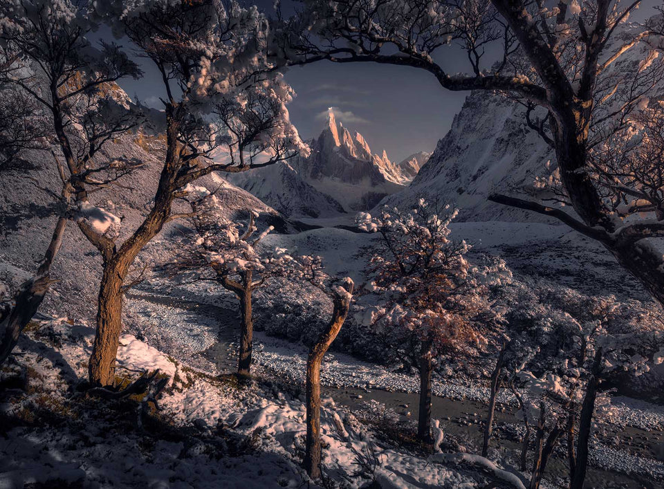 A dramatic winter mountain landscape of Cerro Torre in Patagonia with snow-covered trees in the foreground framing a sharp central peak under a dark blue sky.