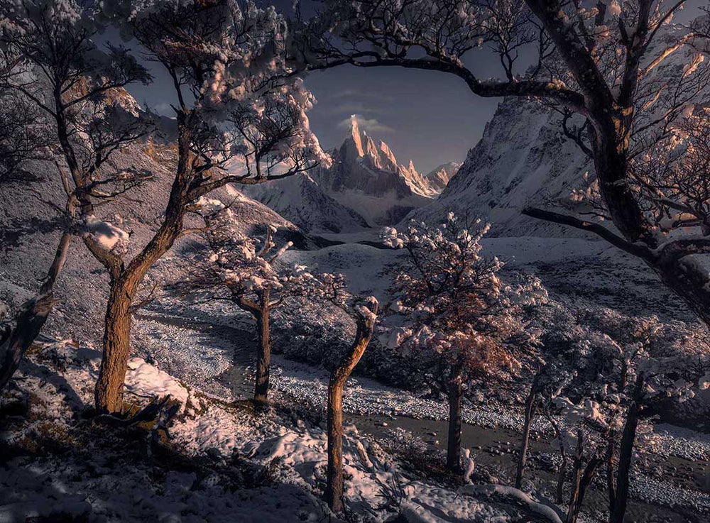 The frozen winter forest of Patagonia is covered in fresh snow. In the distance Cerro Torre has lenticular clouds above it and is catching the golden morning sunrise.