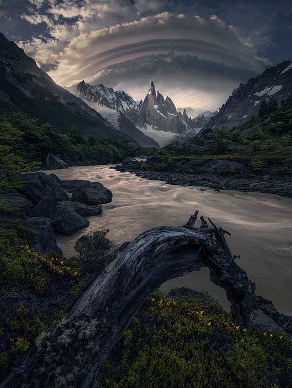 lenticular clouds form over the peak of cerro torre. a river leads towards the mountain and twisted tree trunk lays in the stream by yellow flowers.
