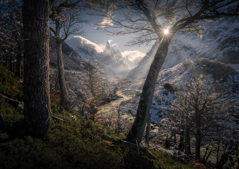 Cerro Torre's jagged peaks covered in snow in autumn framed with trees and fresh snow, a sunbeam through the branches illuminates the foreground, in the midground a winding river leads to the peaks beyond.