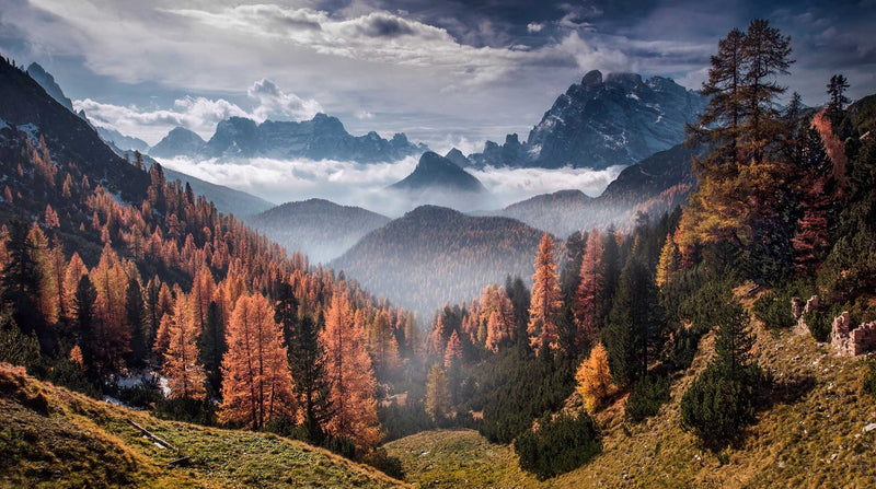 The Seasons in Landscape Photography