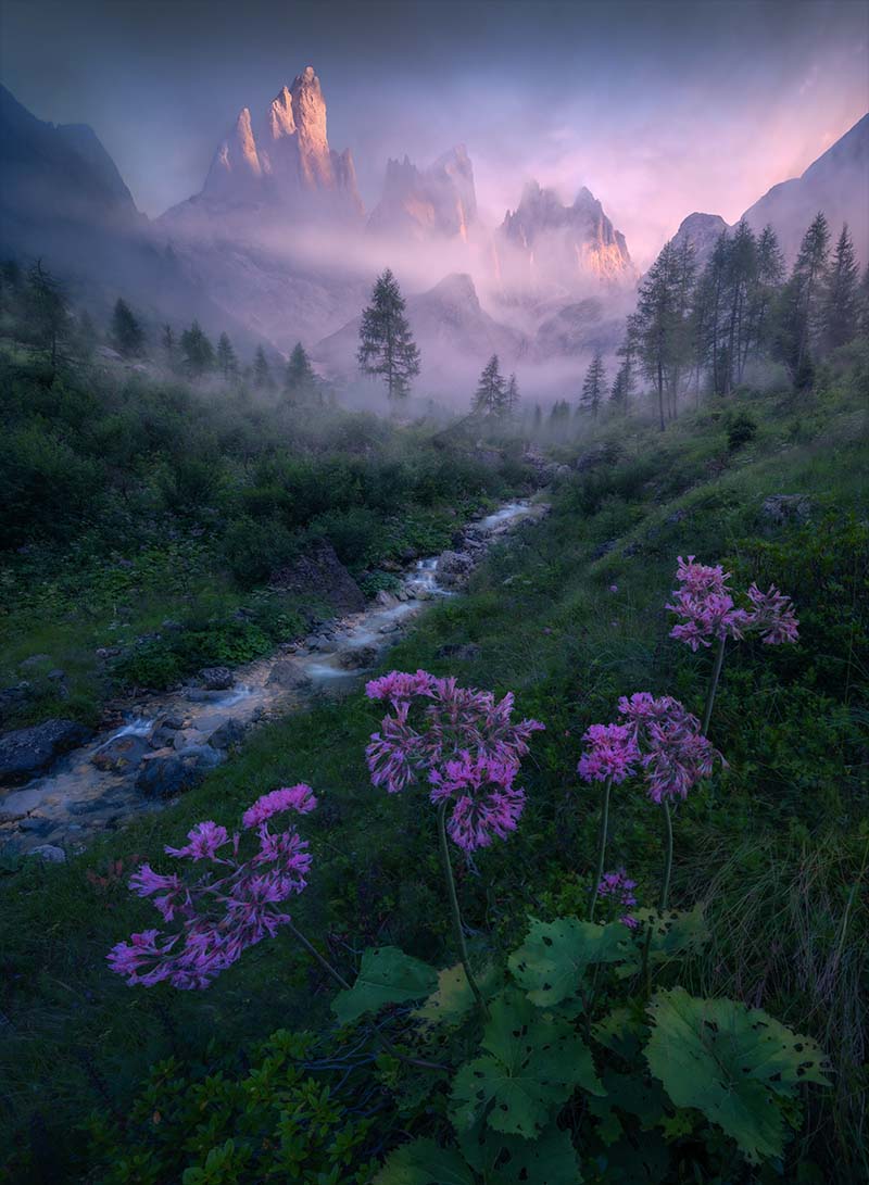 purple flowers grow by a stream which winds through a misty forest. Tall mountains are pink from the sunset behind.