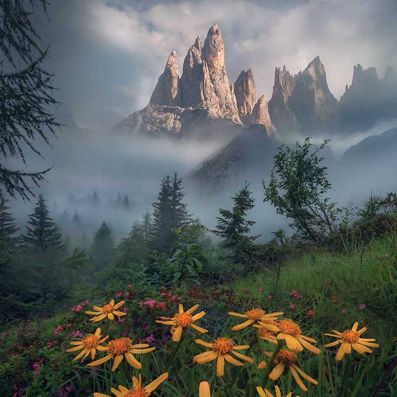 DOLOMITES SUMMER TOUR