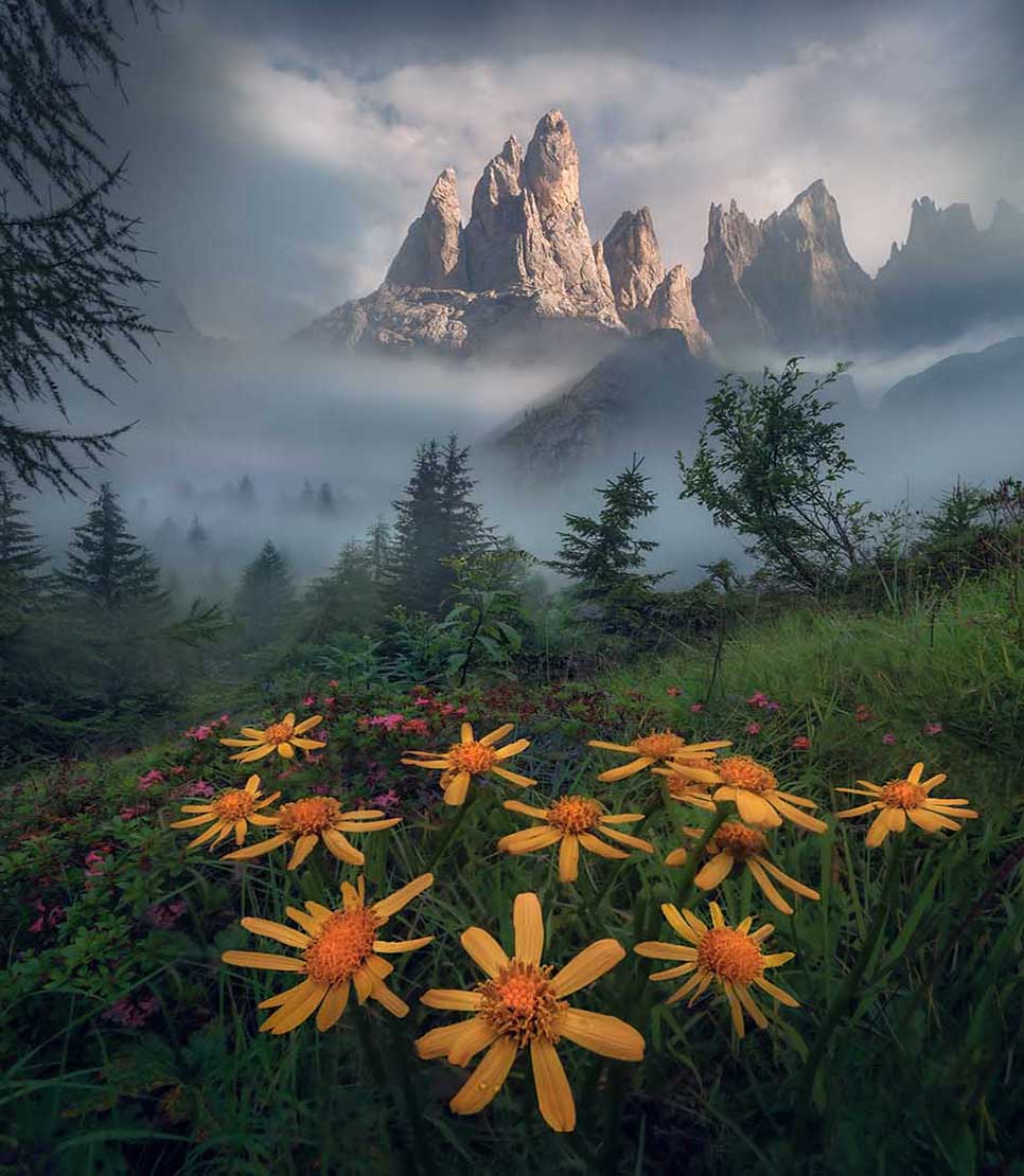 Dolomites Autumn tour gallery