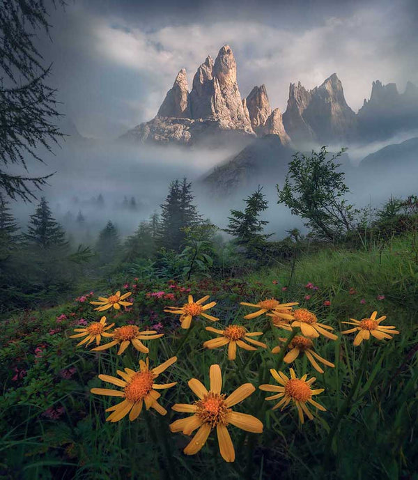 Guide Dolomites