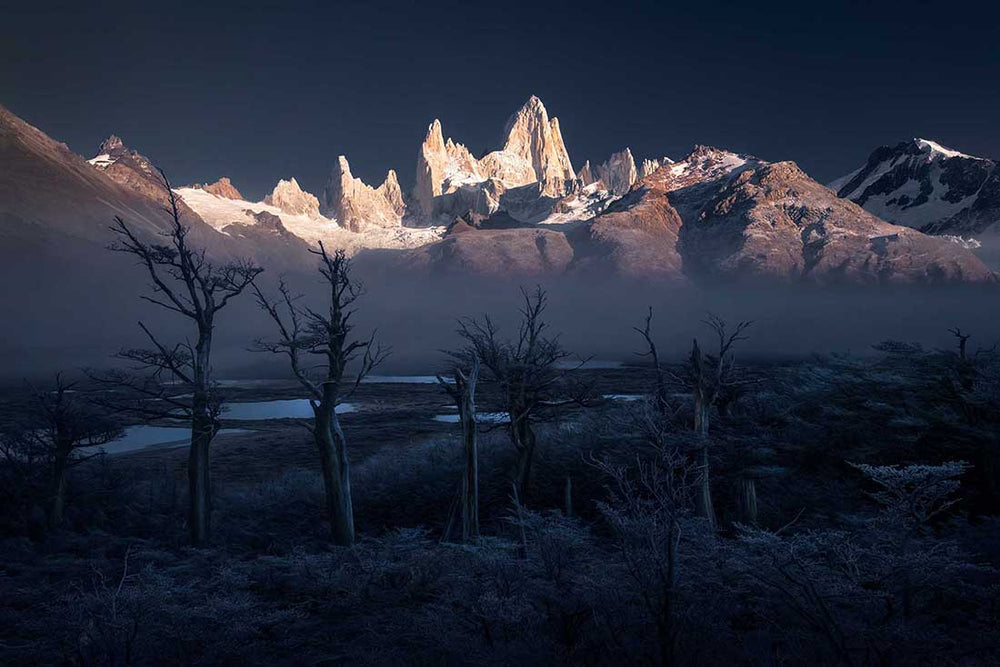 Patagonia in winter, mount fitzroy is snowy and misty. frozen lakes and dead trees are in the foreground.